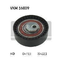 VKM 16009
